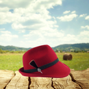 Hair Brush Edelweiss German Hat Pin