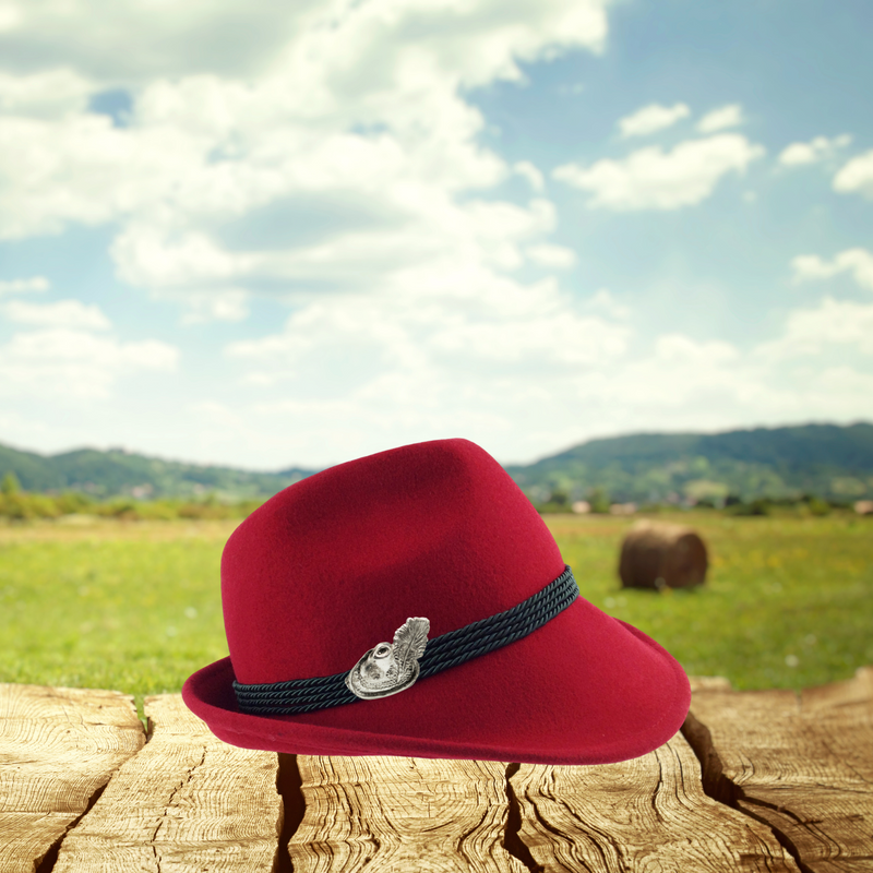 German Hat Accessory with Colorful Feather