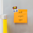 Delft Wooden Shoes with Tulips Magnet Gifts