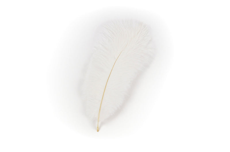 Decorative White Hat Feather for Festival Hats - CT-540, German, Hat Pins, Hats, Hats-Accessories, Hats-Feathers, New Products, NP Upload, Under $10, Yr-2016