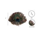 German Hat Pin Deluxe Peacock & Brown Hat Feathers