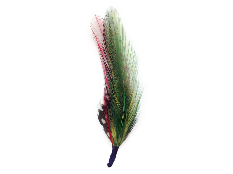 Green & Red Single Feather for German Hat - 1