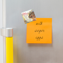 Collectible Magnet Tile: Opa House Rules