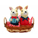 Animal Salt & Pepper Shakers Rabbits Basket