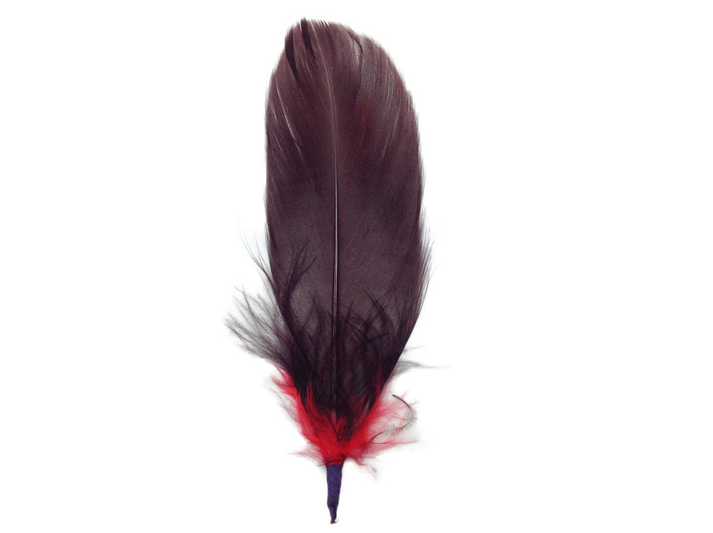 Single Brown & Red Hat Feather - 1