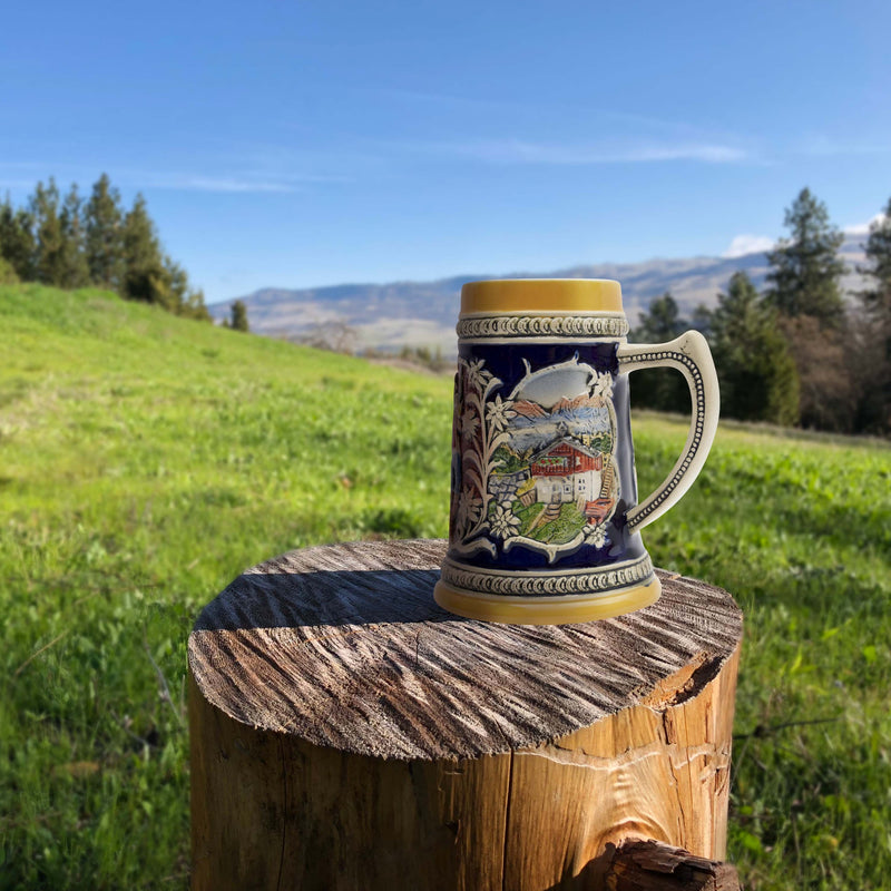 Alpine Pub Engraved German Beer Stein