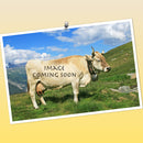 Oma is the Greatest Visor Hat - Apparel-Costumes, Dutch, German, Germany, Hats, Hats-German, Hats-Party, Oma, SY: Oma is the Greatest